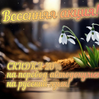 Скидка на перевод автодокументов на рус. яз.